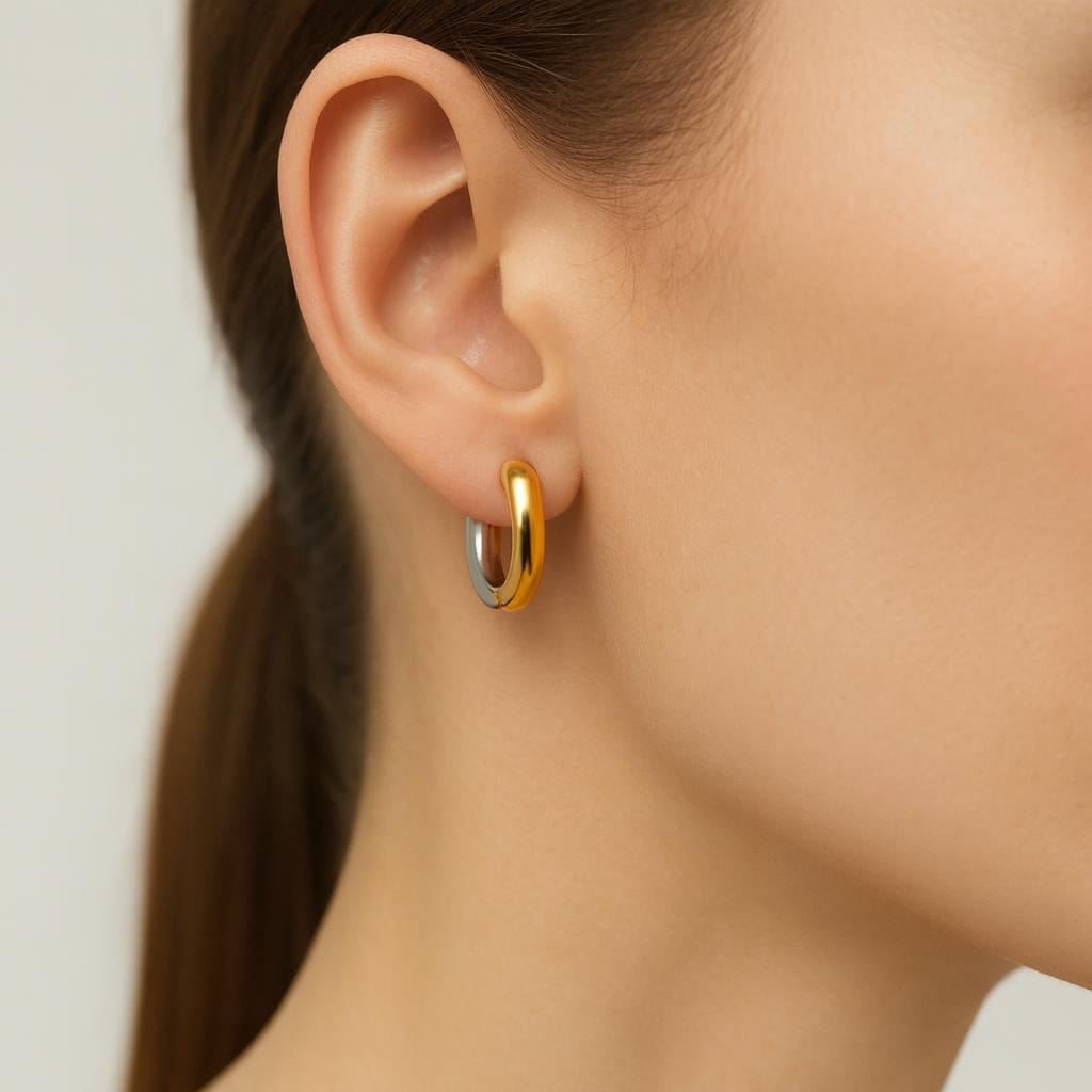  Boucle d oreille or et argent